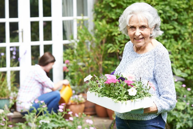 ThinkstockPhotos 479223516 ThinkstockPhotos 479223516