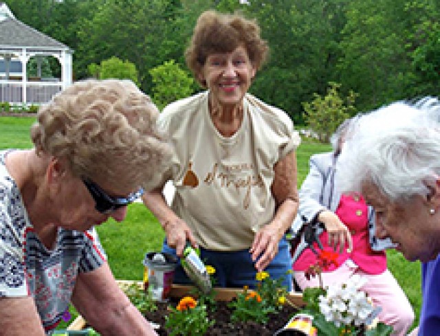 cam garden 237 Gardening