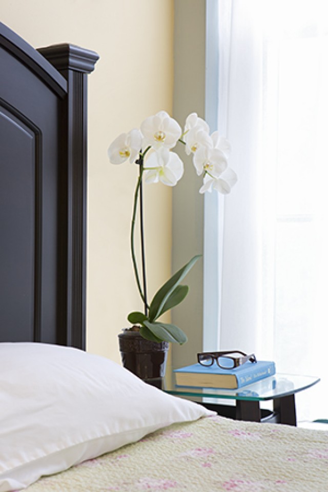 milford memory support open campus Your Home