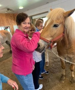 Methuen Village Memory Support equine therapy