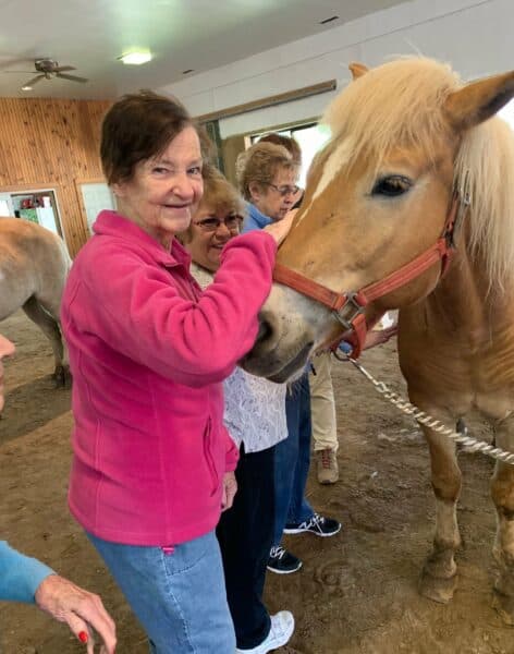 Methuen Village Memory Support equine therapy