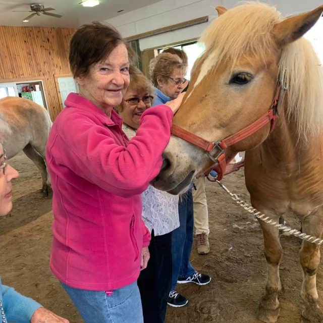 Methuen Village Memory Support equine therapy