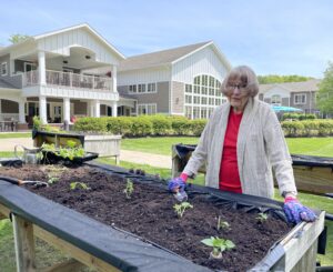 Woman standing at garden bed with green sprouts